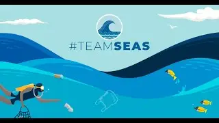 #TEAMSEAS CHOCOLATE Fundraiser