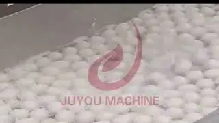 fish ball machine