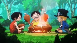 Sabo Asked About 'D' Meaning| One Piece Episode 1119 | English Dub