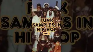 Funk Samples Used In Hip-Hop #hiphop #rap #funk #icecube #delasoul #funkadelic