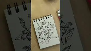 Soft Flower Illustration 🌸 | Brush Pen Art | Time-Lapse