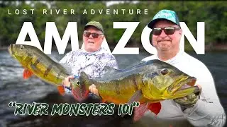 Amazon Peacock Bass Fishing: 