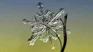 Close Up Photos Of Snowflakes
