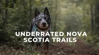 3 Under Rated Nova Scotia Hiking Trails