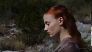 Санса и Петир & Strange Birds