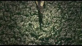 Halcyon Promo Radiant Media