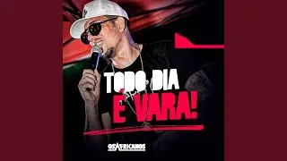 Todo Dia &Eacute; Vara!