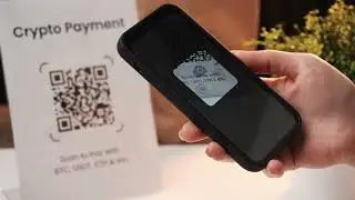 How to recover from mining pool scam 