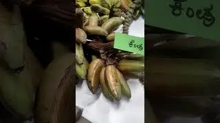 DIFFERENT VARIETIES OF BANANA #shorts