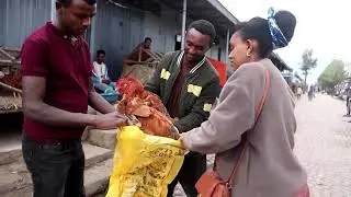 Ethiopians tackle food prices with small-scale poultry farms | REUTERS