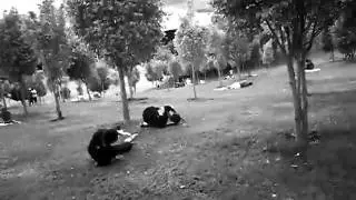 CELINHO BBOY - LMENTOS CRAZY