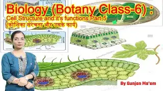 Biology (botany class-6) || Cell Structure and it's functions || कोशिका संरचना और उसके कार्य Part -5