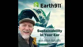 Earth911 Podcast: Direct Solar America CEO Pablo Diaz On Solar Subsidies and 2020 Election