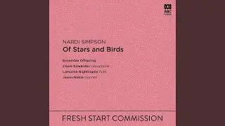 Of Stars and Birds