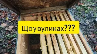 Що у вуликах? 