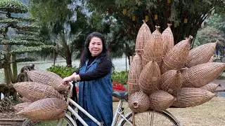 Part 40: Trang An - Mua Cave | Vietnam - 2024 (Yong Yia Vang family) 
