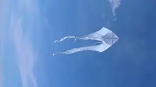 Drachen - Einleiner F-Tail XXL 4m x 14m
