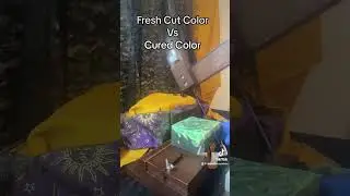 Crazy Color Morph - Soap Curing
