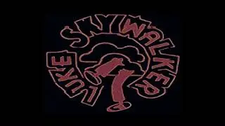 The 2 Live Crew - Ghetto Bass (Instrumental) Luke Skyywalker DJ Mr. Mixx