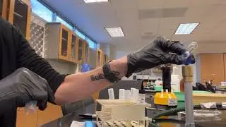 Kirby Bauer Disk Diffusion Antimicrobial Susceptibility Test