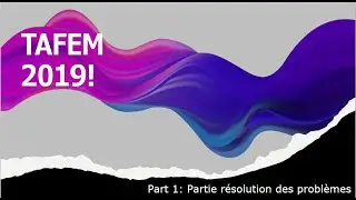 Finally : TAFEM 2019 avec correction (édition spéciale) résolution des problèmes