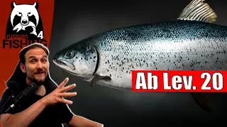 Russian Fishing 4 - Wolchow - Ladoga Lachs, Atlantischer Lachs, Hecht