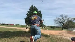 calf Roping basics-rodeo time 2