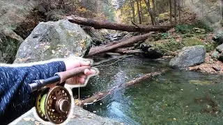 Fly Fishing HEAVEN - Mountain Creek/Wild Brown Trout!