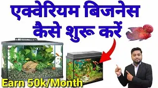 Aquarium Business| Colour Fish Business Ideas| एक्वेरियम बिजनेस कैसे शुरू करें| Hobby Business