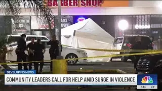 What needs to be done to stop surge in violence in South LA?