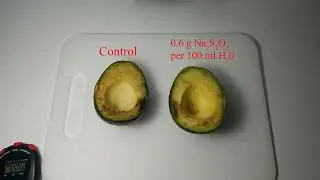 Avocado with Sodium Metabisulfite Timelapse (Failed Experiment)