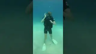 Diving on Koh Tao: PADI Discover Scuba Diving program for beginners 👌💃🏽🤙