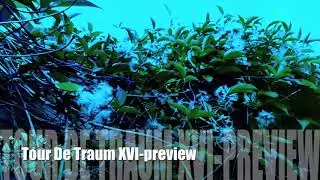Tour De Traum XVI - Preview