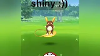 Shiny Raich from research breakthrough