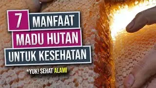 7 Manfaat  Madu Hutan Asli untuk Kesehatan Tubuh - Selain Enak Juga Menyehatkan Lho!