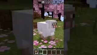 istam drops 64 stake #minecraft #shorts #trending #viral #tiktokhacksinminecraft