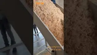 machine de sciure de bois 