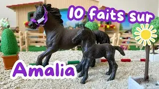 10 faits sur Amalia