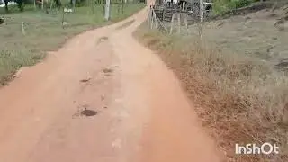 CONHECENDO ZONA RURAL DE JIQUIRIÇA  IVONILDO OFICIAL  17 01 2026 