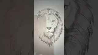 Easy lion charcoal pencil drawing 🦁👌🏼
