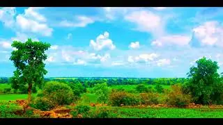 Nature View Cinematic Video Copyright free | Creative common | CC Licensed video￼ |
