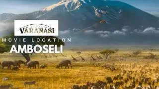 Close Encounters - Giants of the Earth: The Majestic World of Elephants