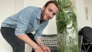 European Rare Plant Shop Review | Unboxing A HUGE VARIAGATED MONSTERA | Plantlovers.eu