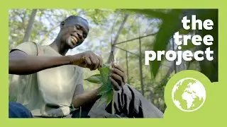 The Tree Project, supported by One Water