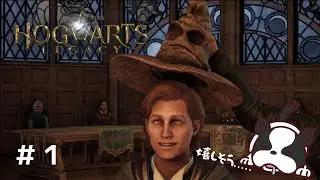 switch版ホグワーツレガシーに日本語音声がでたー！　【HOGWARTS LEGACY】