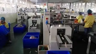 wafer packaging machine, wafer biscuit packaging machine, wafer wrapping machine