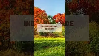 Lazura lemn Estetik - Noi protejam lemnul exterior impotriva raze UV si umiditate pana la 20 de ani