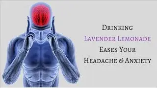 Lavender Lemonade &ndash; Nature&rsquo;s Best Cure For Anxiety And Headaches!