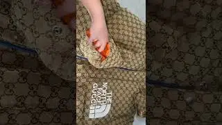 The North Face X Gucci Puffer Jackets All Details review on 2023th