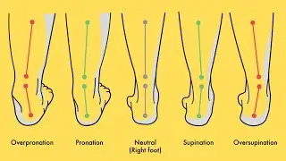 Fix your Ankles Strength and Flexibility - Bioenergetics Exercises